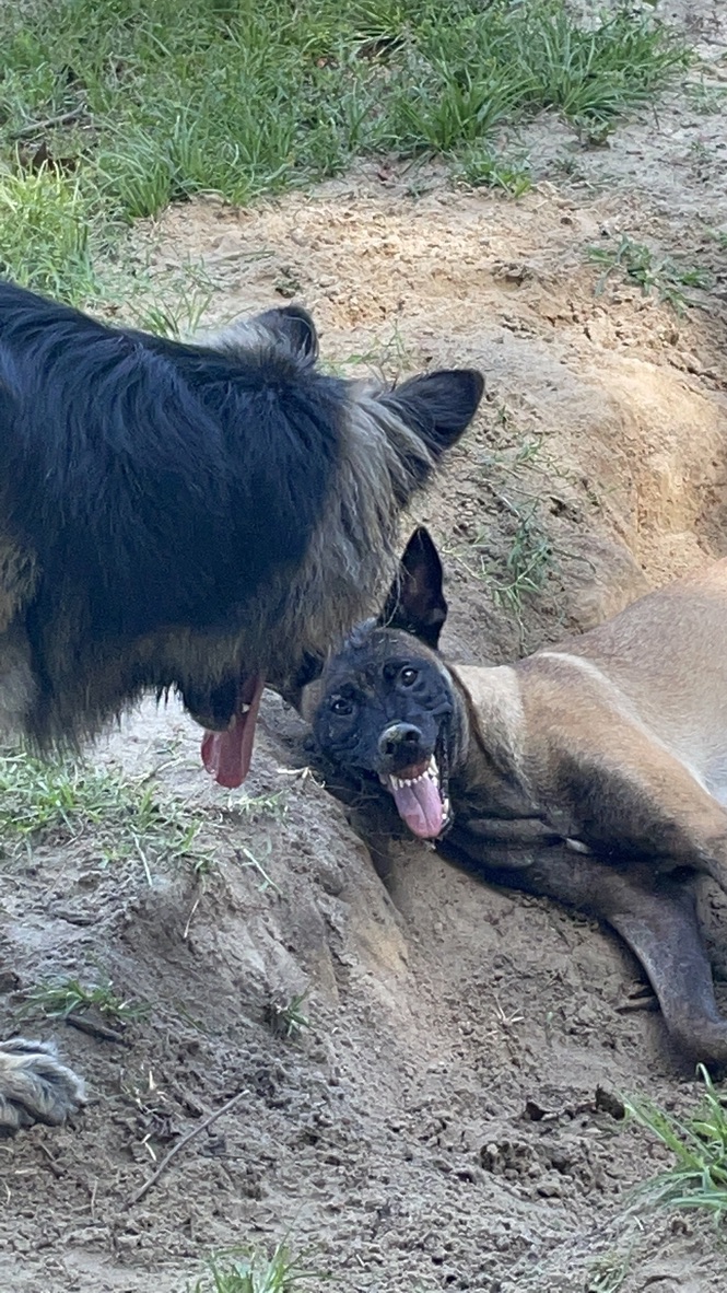 Getting Videos To Support Your Behavior Plan