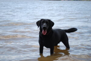 Exercise & Enrichment