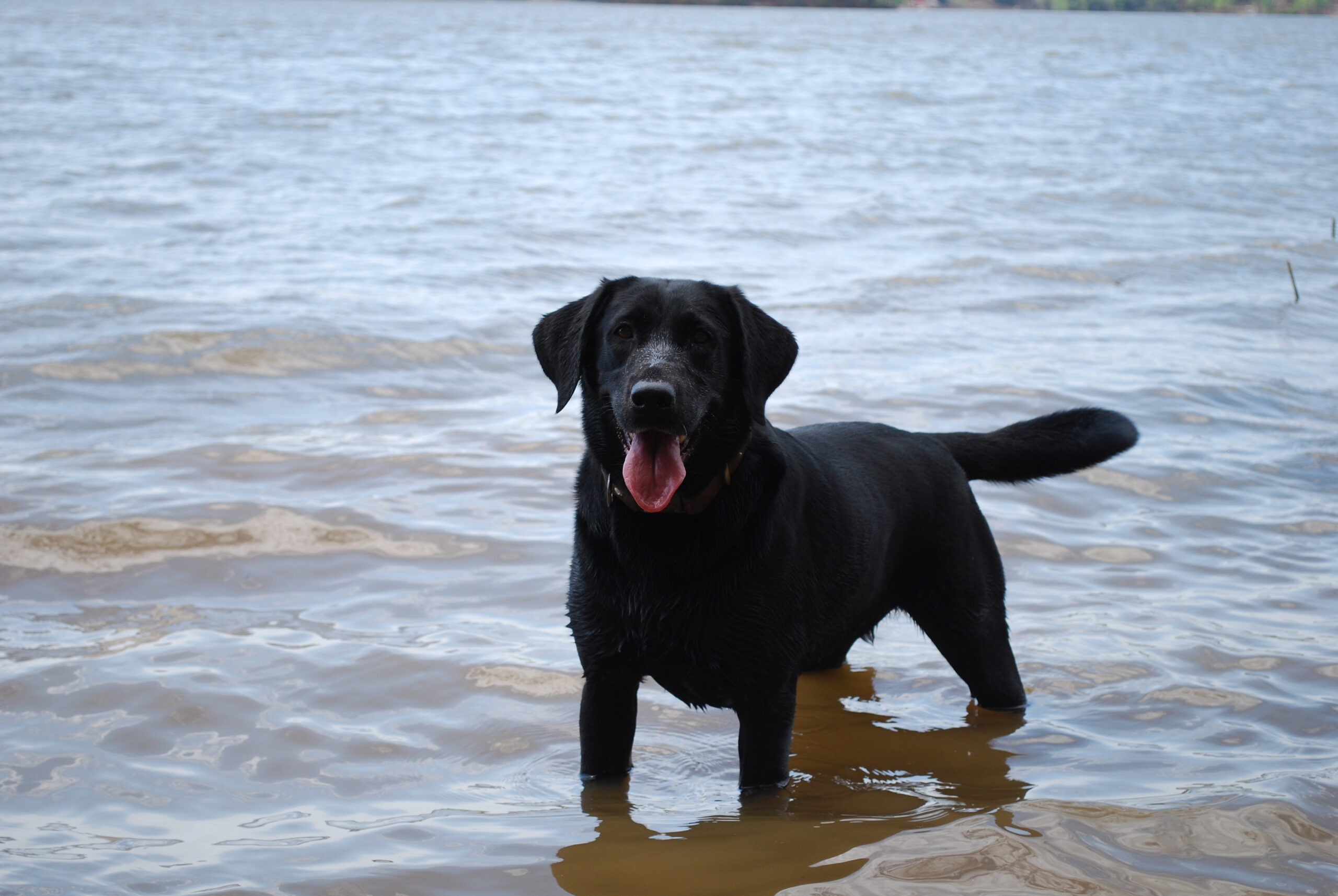 Exercise & Enrichment