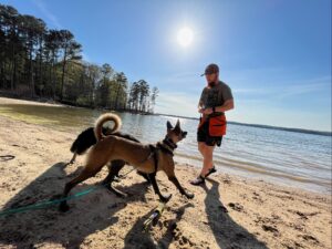 Name That Treat! Reducing Multi-Dog Mayhem When The Food Comes Out