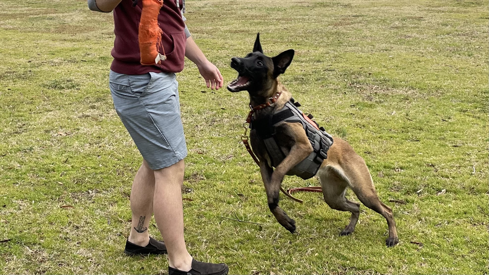 Emergency Cues for When Shit Hits The Fan